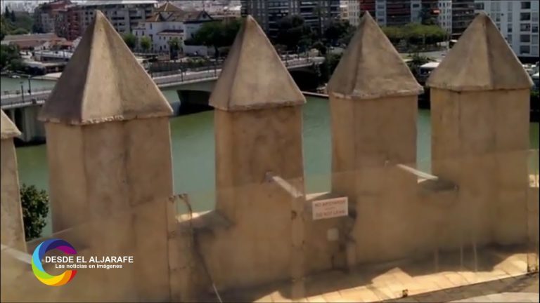 Descubre los monumentos de Sevilla en https://www.visitarsevilla.es/torre-del-oro